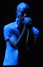 stipes2.jpg